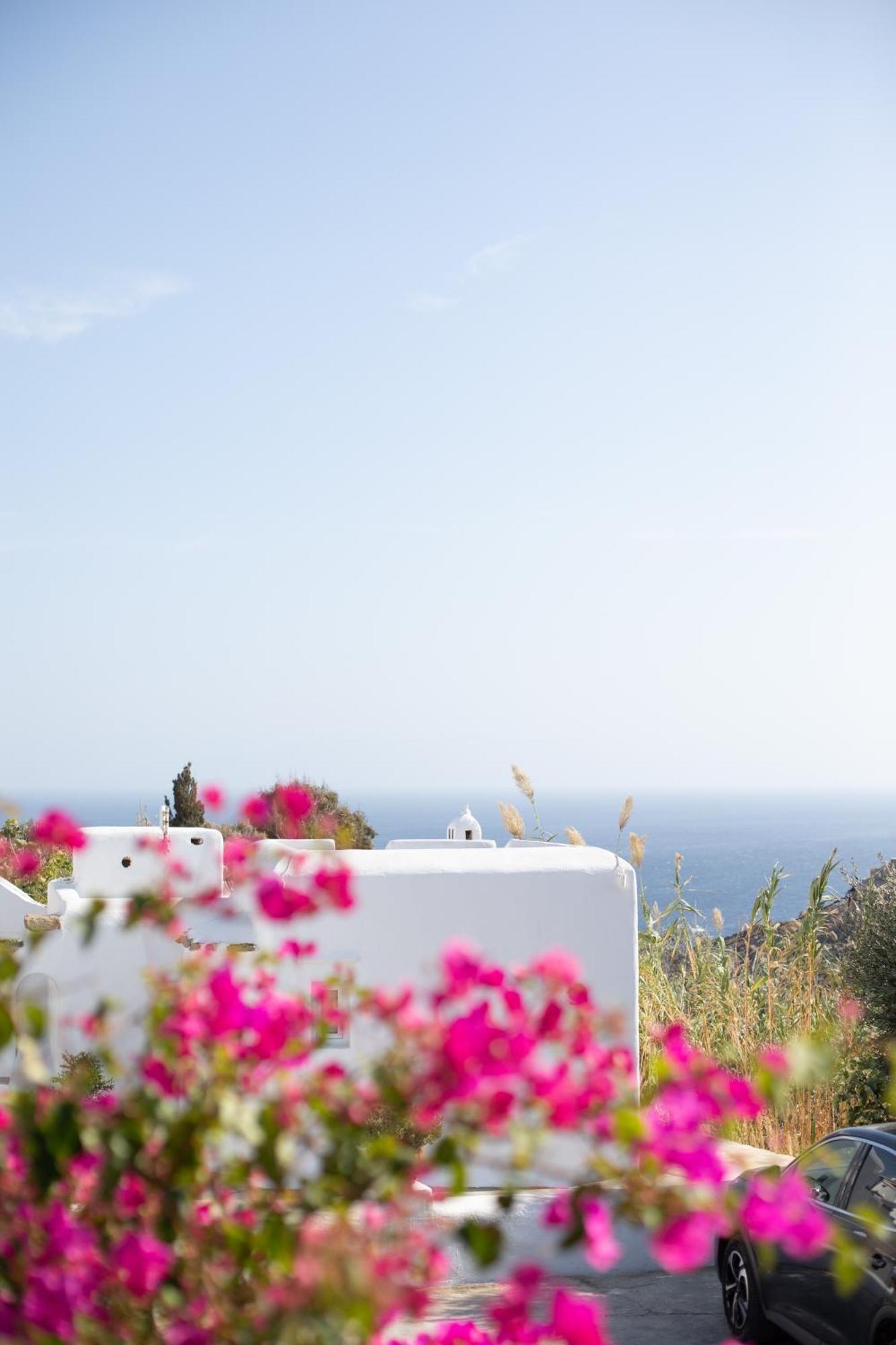 Apostolis Windmill Apartment Psarou  Exterior photo