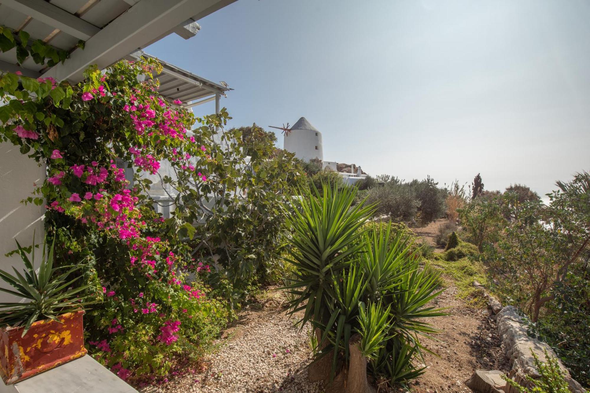 Apostolis Windmill Apartment Psarou  Exterior photo